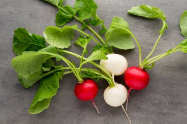 Gri arka planda taze turp..