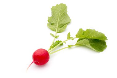 Beyaz arkaplanda taze turp. 