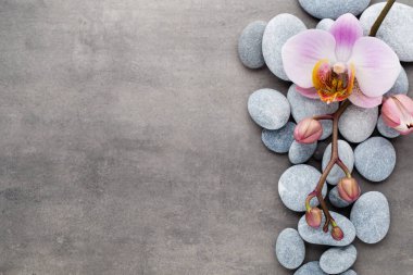 Gri arkaplanda orkide temalı nesneler.