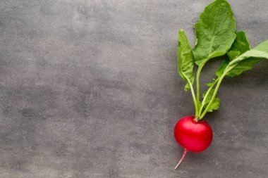 Gri arka planda taze turp..