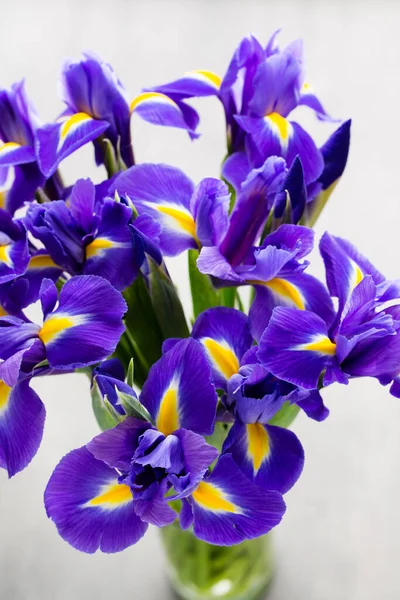 Purple Iris Flower Vase Background — Stock Photo, Image