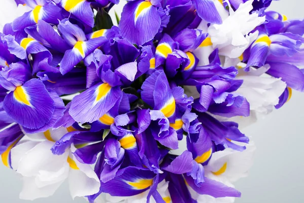 Iris Flowers Background Spring Floral Patern — Stock Photo, Image
