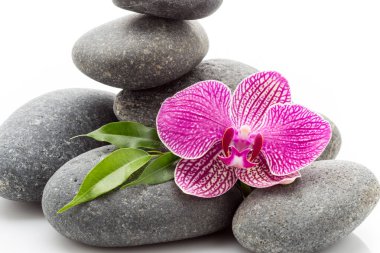 Beyaz arkaplanda izole edilmiş spa masaj taşları ve orkide.