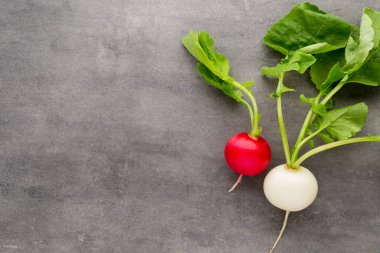 Gri arka planda taze turp..