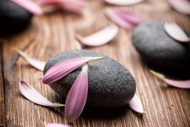 Çiçek yapraklı spa taşları. Rahatlatıcı masaj.