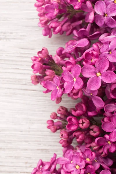 Purple Lilac Wooden Background Studio Photography — Stock Photo, Image