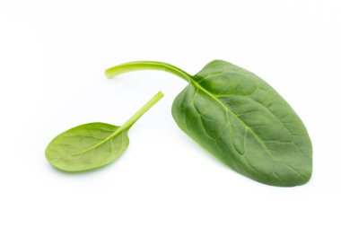 Taze ıspanak beyazda izole edilmiş..