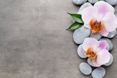 Gri arkaplanda orkide temalı nesneler.