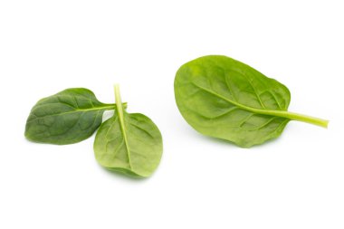 Taze ıspanak beyazda izole edilmiş..