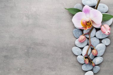 Gri arkaplanda orkide temalı nesneler.