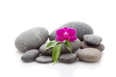 Beyaz arkaplanda izole edilmiş spa masaj taşları ve orkide.