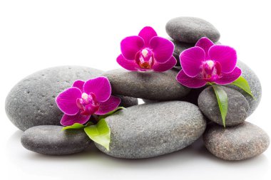 Beyaz arkaplanda izole edilmiş spa masaj taşları ve orkide.