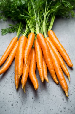 Gri arka planda taze havuçlar.