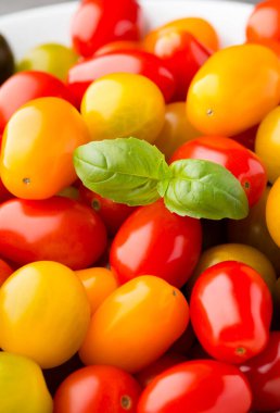 Taze fesleğenli taze üzüm domatesleri.