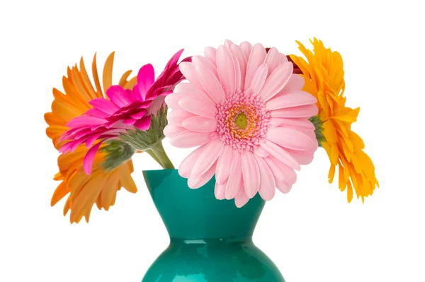 Gerbera Bloem Vaas Geïsoleerde Witte Achtergrond — Stockfoto