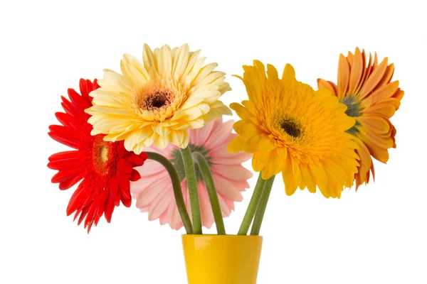 Gerbera Fleur Sur Vase Fond Blanc Isolé — Photo