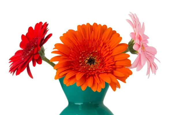Gerbera Blume Auf Der Vase Isolierter Weißer Hintergrund — Stockfoto