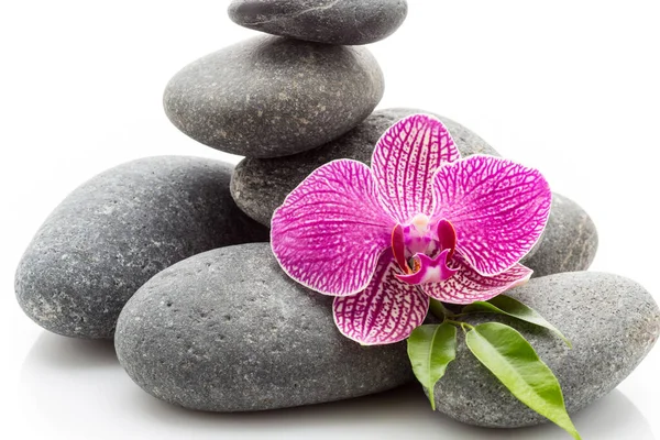 Wellness Massagesteine Und Orchidee Isoliert Auf Weißem Hintergrund — Stockfoto