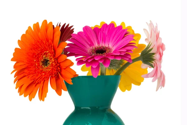 Gerbera Flower Vase Isolated White Background — Stock Photo, Image