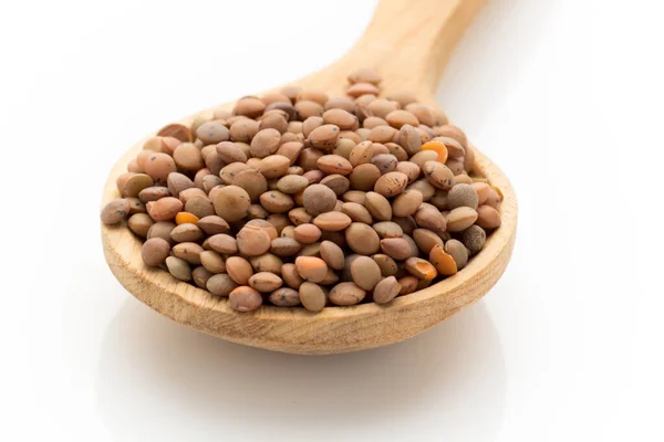 Lentil Isolated White Background — Stock Photo, Image