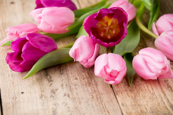 Tulip Wooden Background — Stock Photo, Image