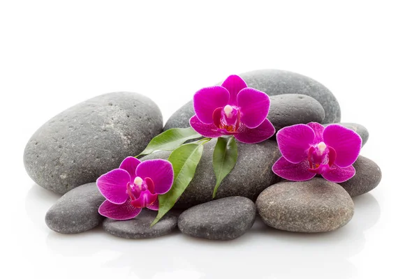 Spa Masage Stenen Orchidee Geïsoleerd Witte Achtergrond — Stockfoto
