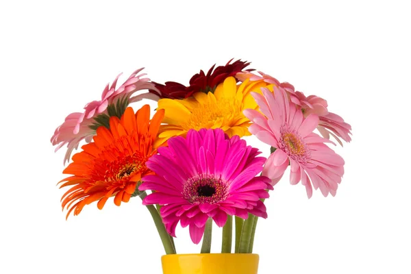 Gerbera Bloem Vaas Geïsoleerde Witte Achtergrond — Stockfoto