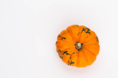 Creative Top view düz sonbahar kompozisyonu. Kabak kabaklarından yapılmış çerçeve renkli kağıt arkaplan kopyalama alanı. Şablon güz hasadı Şükran Günü Cadılar Bayramı davetiye kartları.