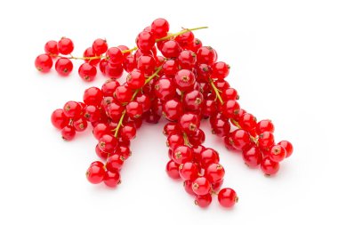 Kırmızı frenk üzümleri beyaz arkaplanda hala izole bir yaşam sürüyor.