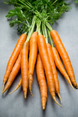 Gri arka planda taze havuçlar.