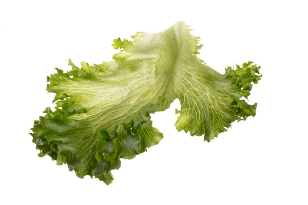 Salladsblad Bio Sallad Isolerad Vit Bakgrund — Stockfoto