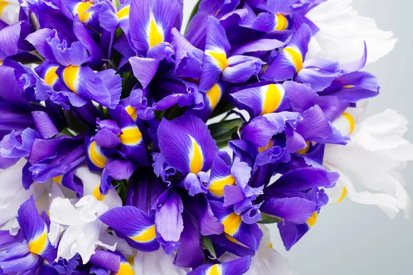 Iris Bloemen Achtergrond Lente Bloemen Patroon — Stockfoto