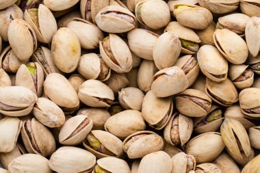 Taze şam fıstığından yapılmış arka plan yapımı.