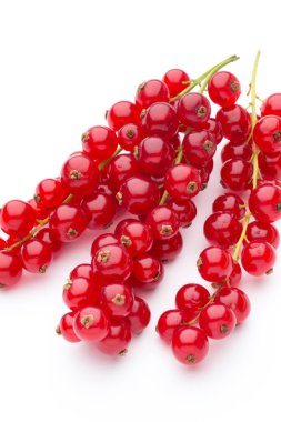 Kırmızı frenk üzümleri beyaz arkaplanda hala izole bir yaşam sürüyor.