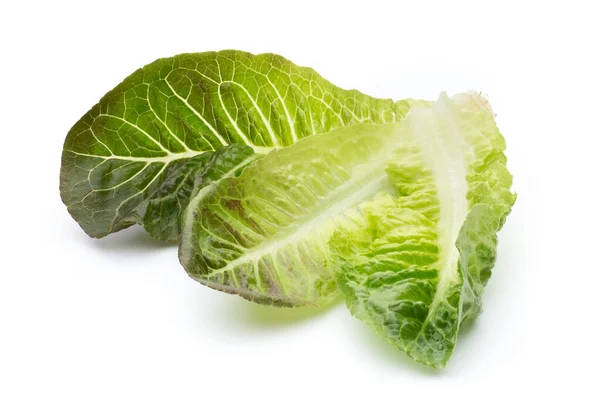 Cos Lettuce White Background — Stock Photo, Image