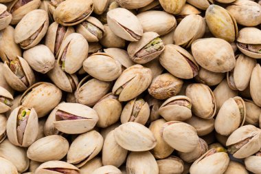 Taze şam fıstığından yapılmış arka plan yapımı.