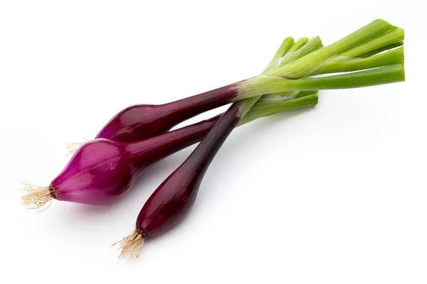 Cipolla Rossa Isolata Sullo Sfondo Bianco — Foto Stock