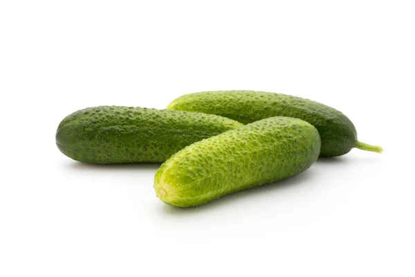 Eco Komkommer Witte Achtergrond Verse Groenten — Stockfoto