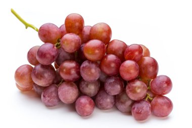 Üzüm kırmızısı beyazda izole edilmiş..