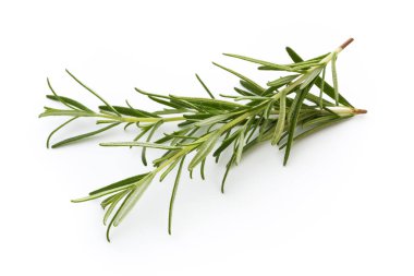 Biberiye beyaz arkaplanda izole edildi, Üst görünüm.