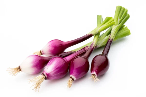 Cebolla Roja Aislada Fondo Blanco — Foto de Stock