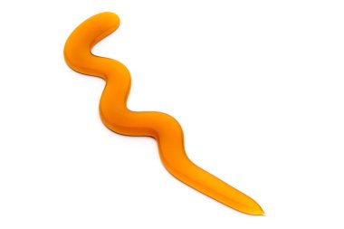 Beyaz arkaplanda bal damlası izole edildi.