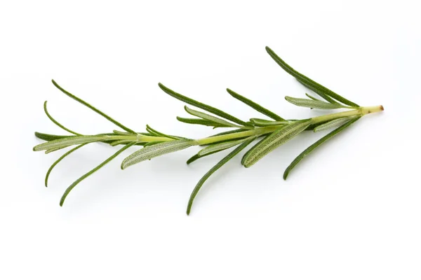 Rosemary Isolated White Background Top View — Stock Photo, Image