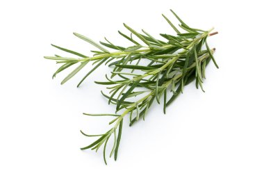 Biberiye beyaz arkaplanda izole edildi, Üst görünüm.