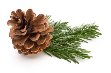 Kırmızı böğürtlenli Noel konisi.