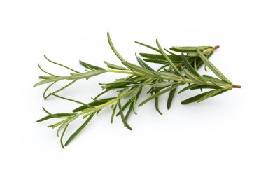 Biberiye beyaz arkaplanda izole edildi, Üst görünüm.