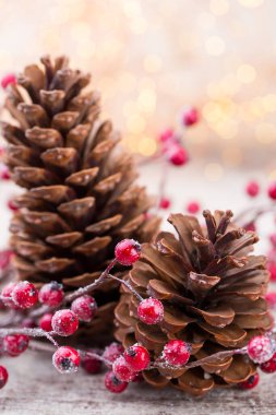 Kırmızı böğürtlenli Noel konisi.