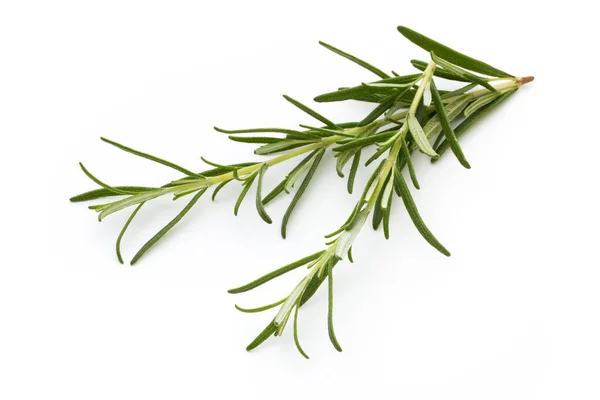 Rosemary Isolated White Background Top View — Stock Photo, Image