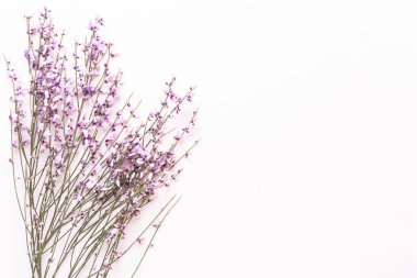 Çiçek kompozisyonu. Pembe arka planda pembe çiçekler. Paskalya, bahar konsepti. Tebrik kartı, düz konum, üst görünüm. 