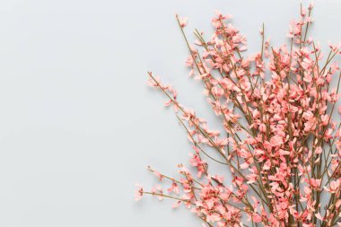 Metin için alanı olan bir spa arkaplanı. Spa tebrik kartına iyi gelir..